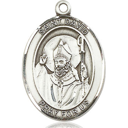 St David of Wales<br>Oval Patron Saint Series<br>Available in 3 Sizes