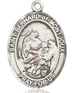 St Bernard of Montjoux Oval Patron Saint Series Available in 3 Sizes