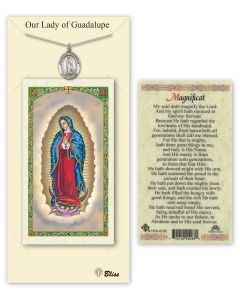 Our Lady of Guadalupe PC8206