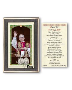 Pope Leo XIV PC8461-B702E