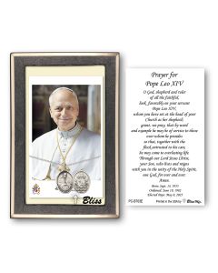 Pope Leo XIV PC8461-B703E